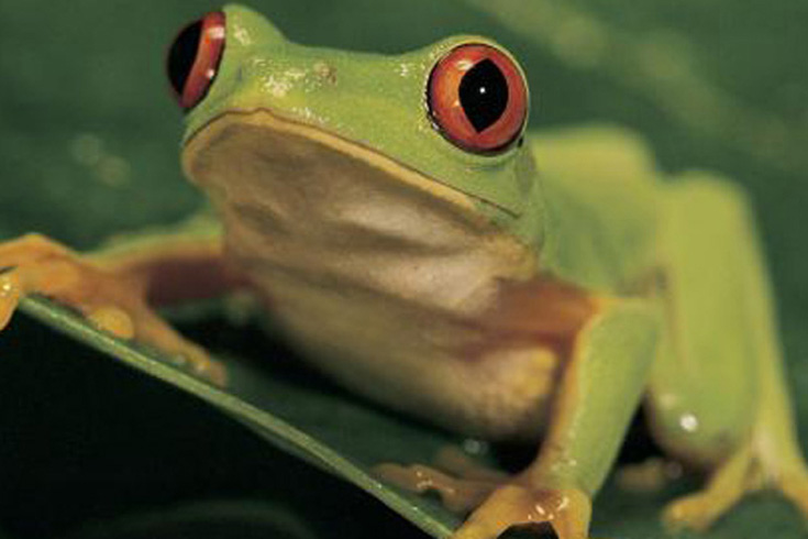 Ecological Sustainability - Core Policy