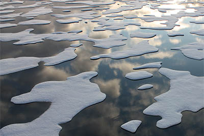 Sea Ice Patterns.