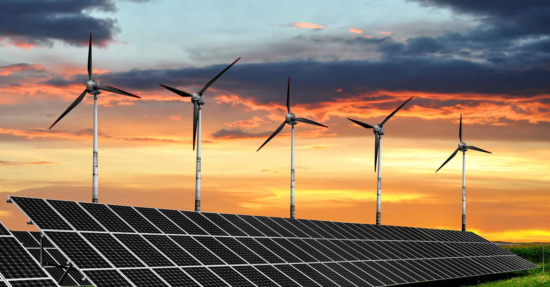 Community Owned Clean Energy Australian Greens
