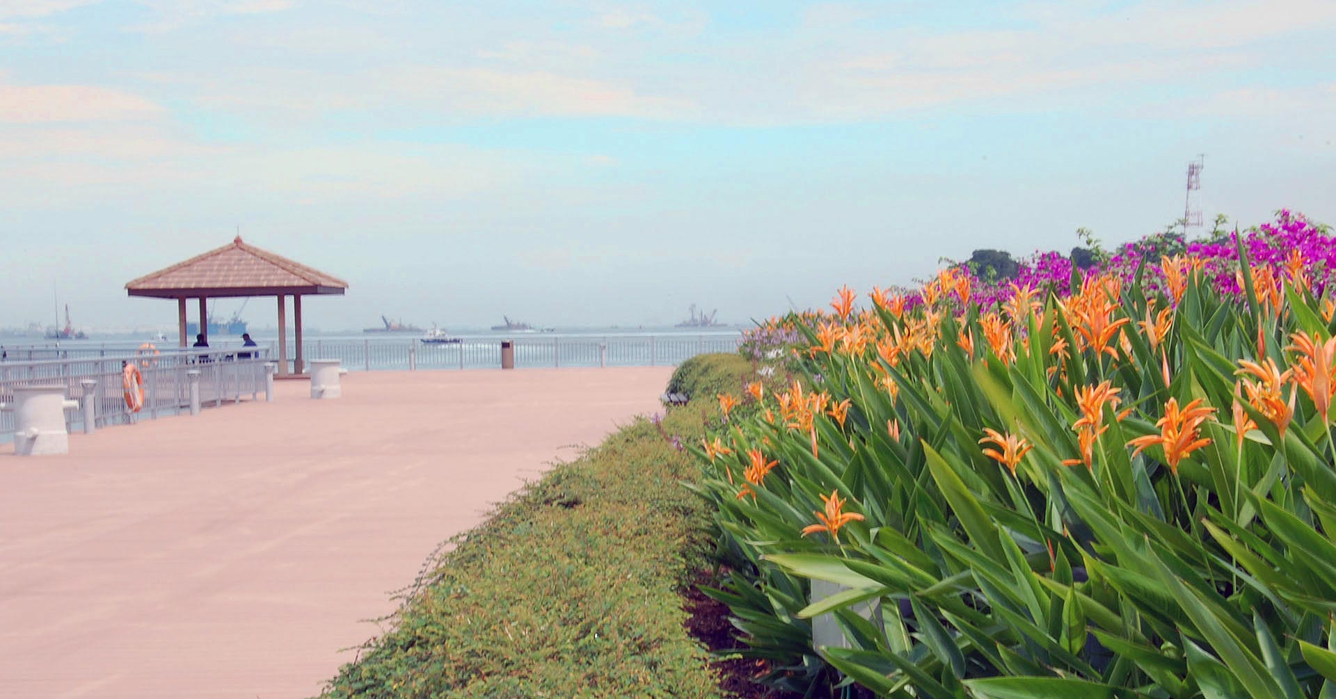 About the Queensland Greens Queensland Greens