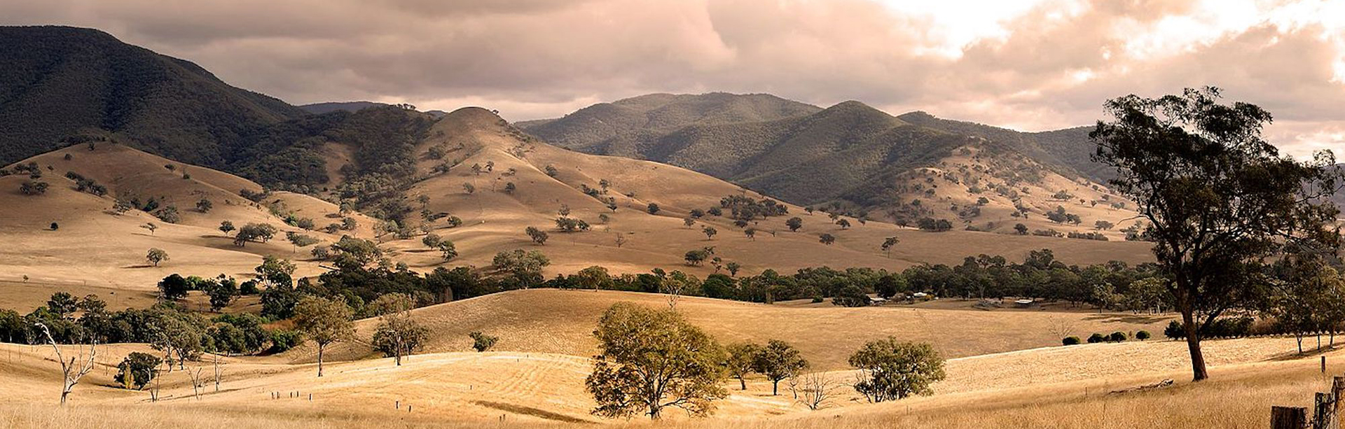 East Gippsland Australian Greens Victoria