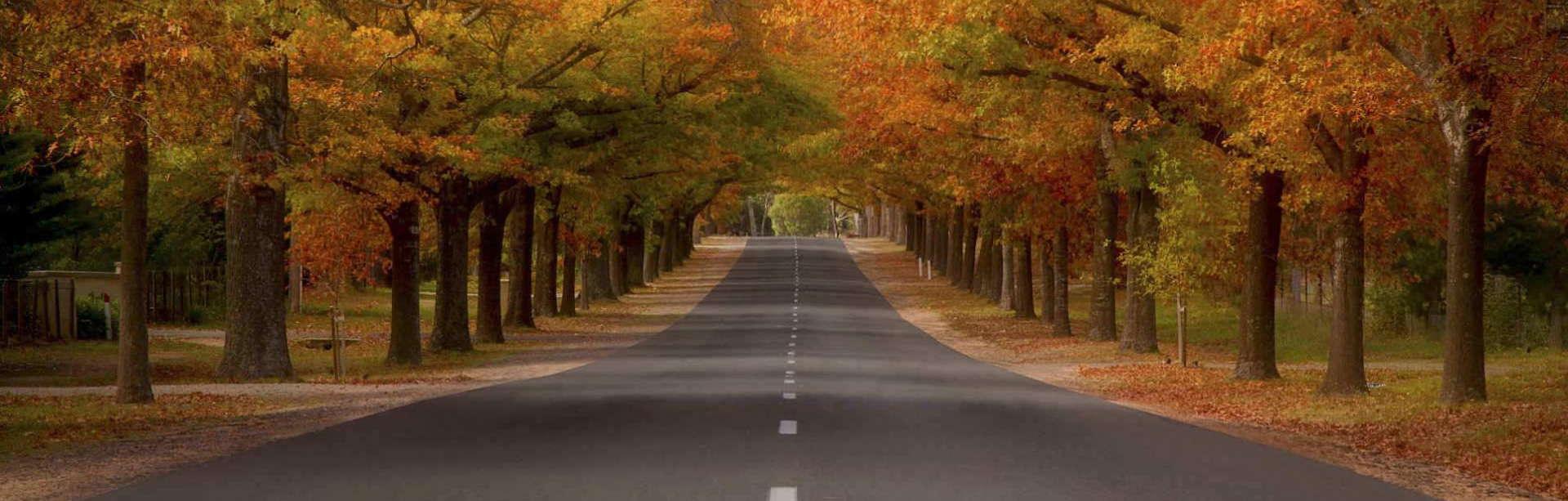 Macedon Ranges Australian Greens Victoria