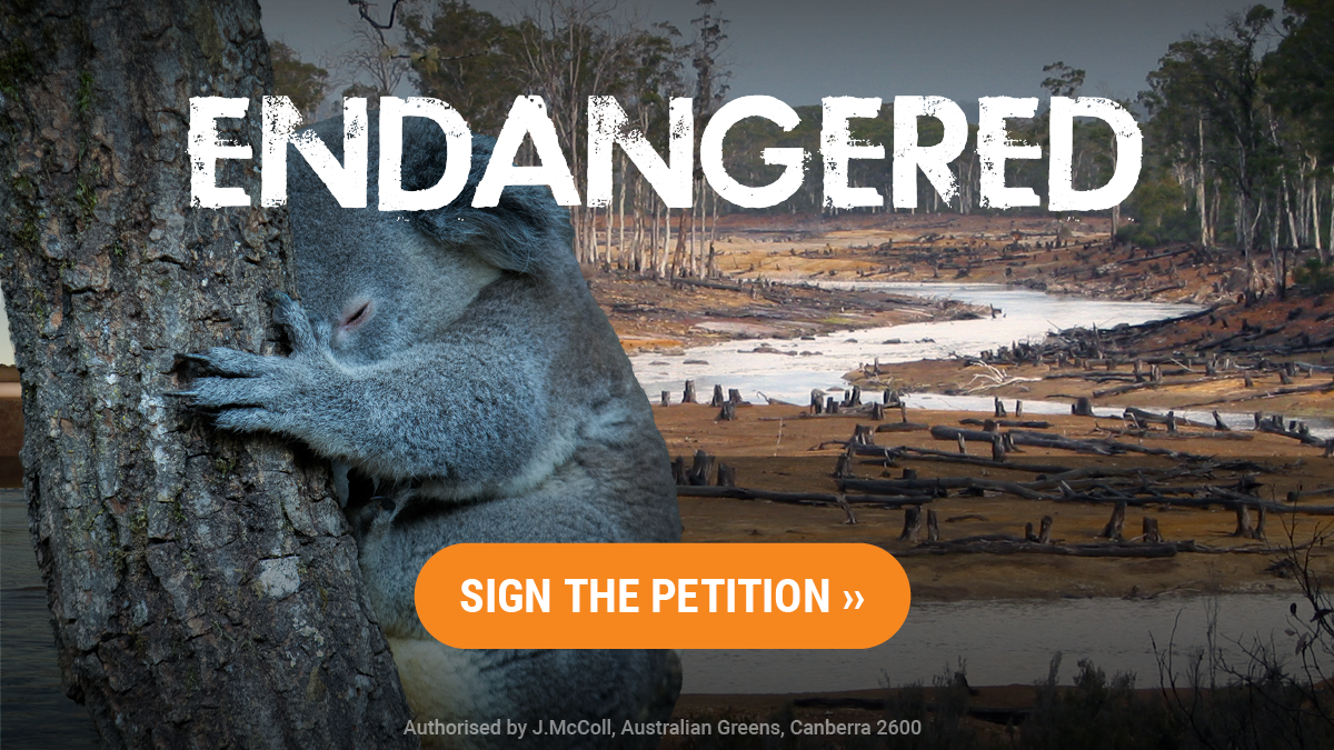 Save Our Koalas Australian Greens