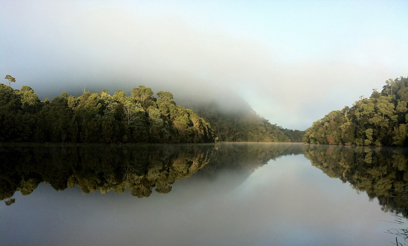 2022 Tasmanian Greens Survey Report Tasmanian Greens