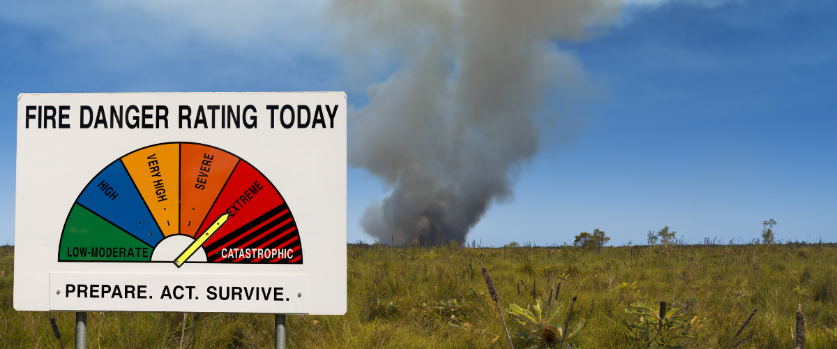 How we can support each other this bushfire season Australian Greens