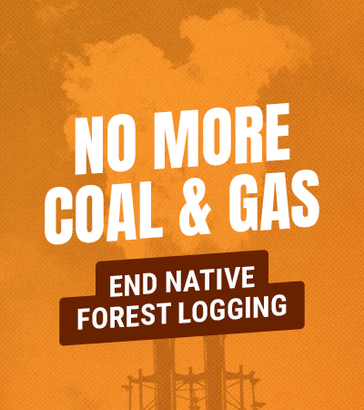NO MORE COAL &amp; GAS END NATIVE FOREST LOGGING