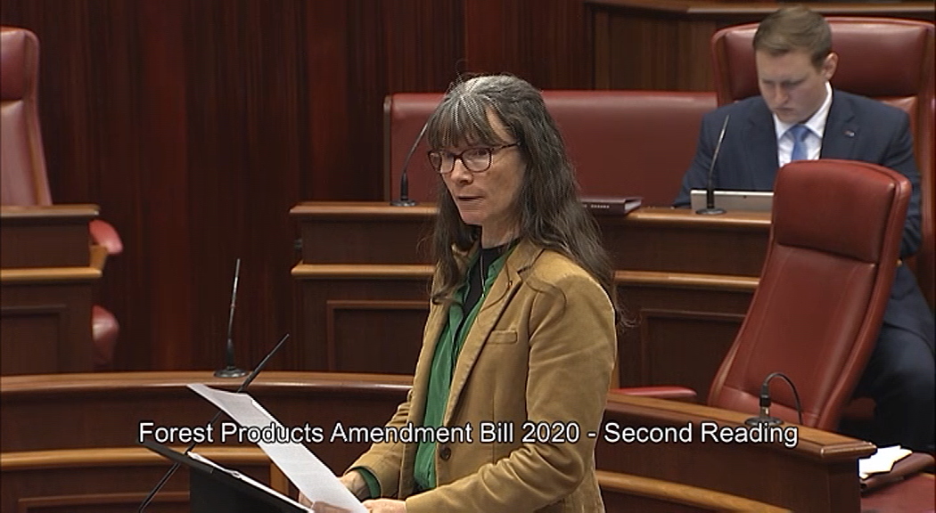 Forest Bill in Parliament Diane Evers