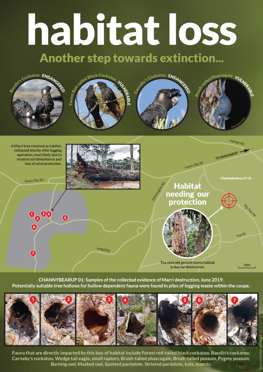 habitat loss poster