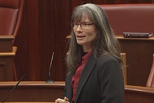 Diane speaking parliament