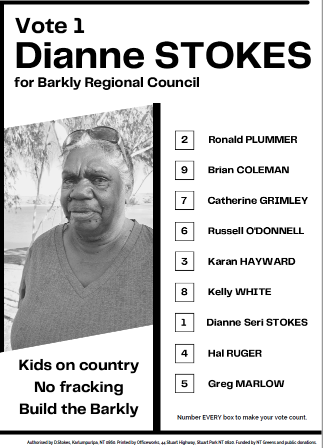 Dianne Stokes how to vote