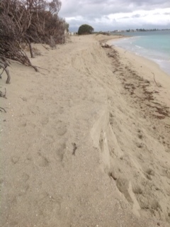 Beach erosion Shoalwater Bay
