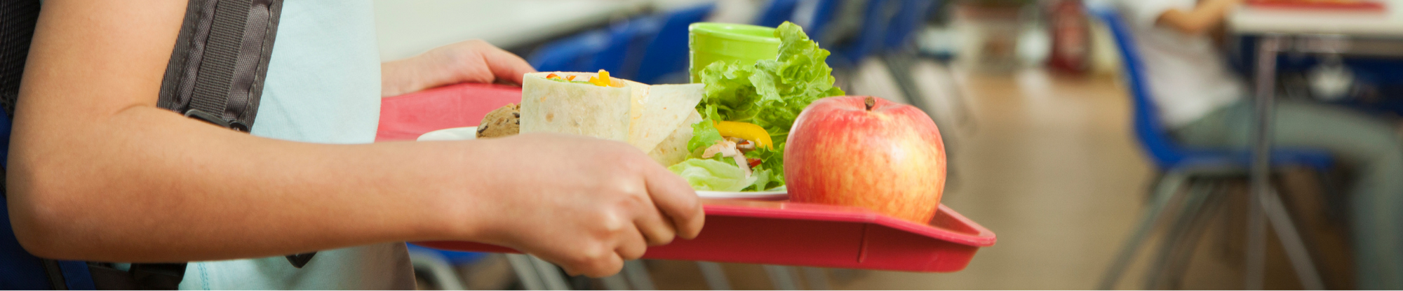 Potential Hero Images (317.5 x 66 mm)_0.png School lunch