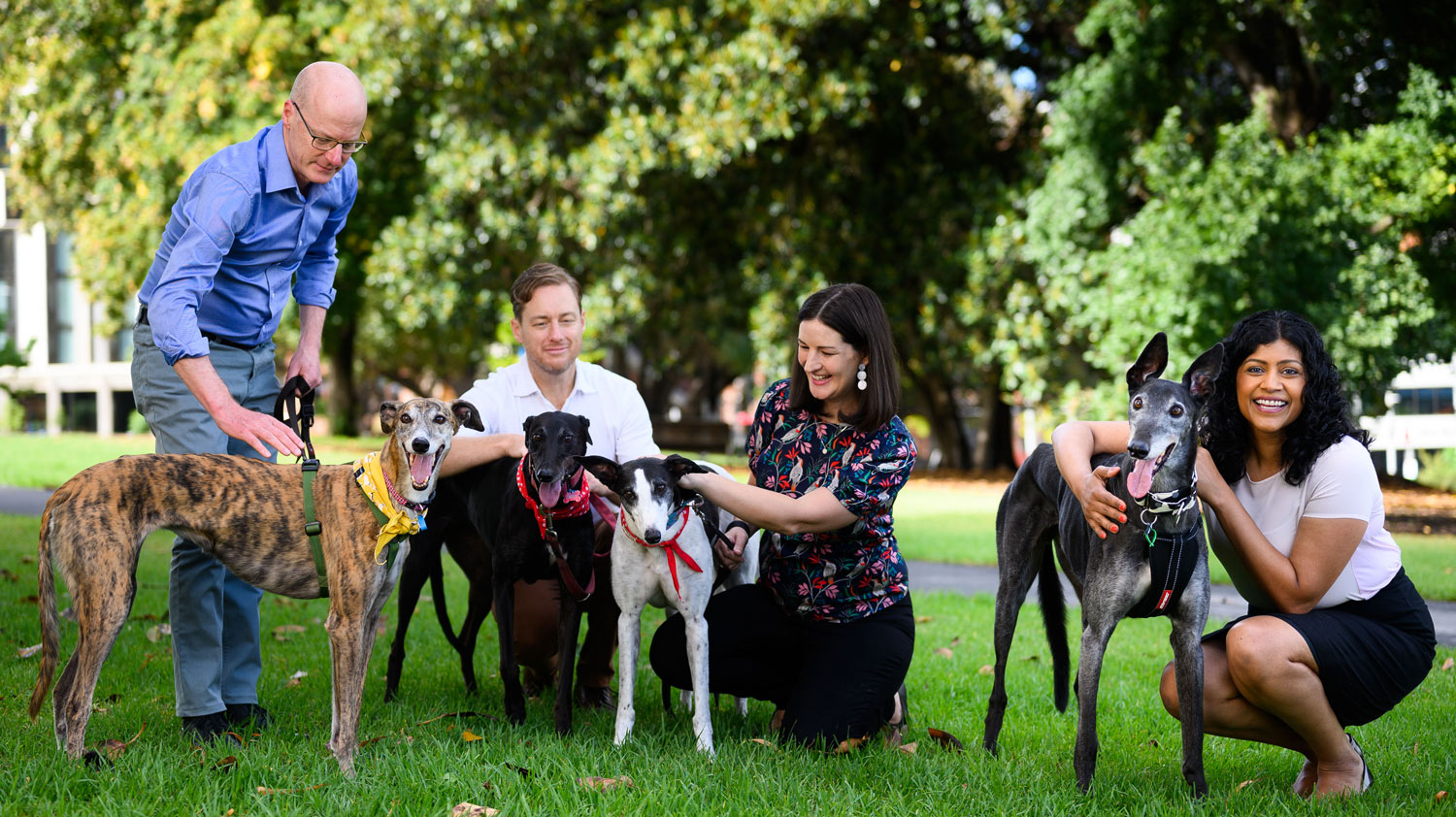 Vic MPs and greyhounds