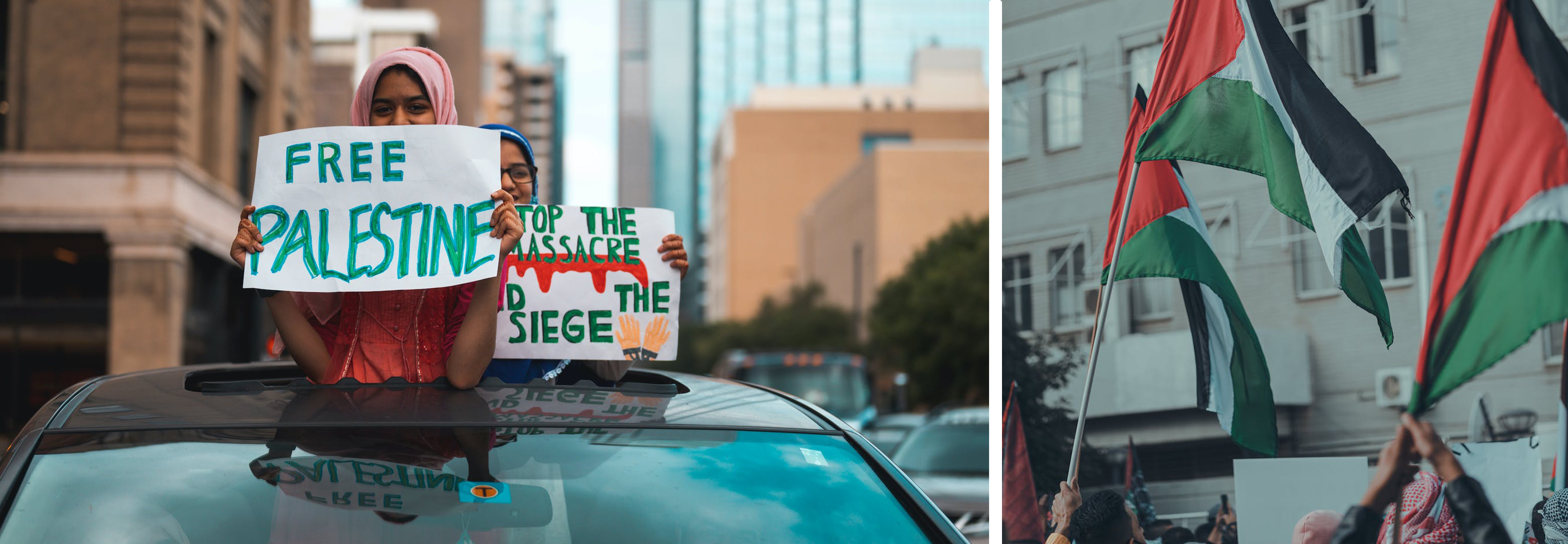 Banner image of Palestine rallies