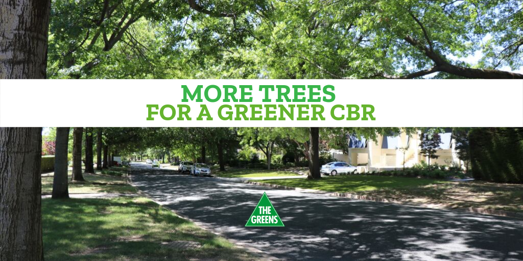 More trees for a greener CBR