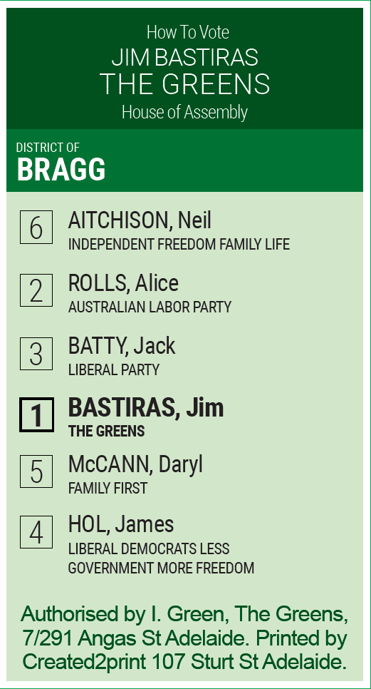 Image of the Greens suggested preferences for the Bragg By-election 2022