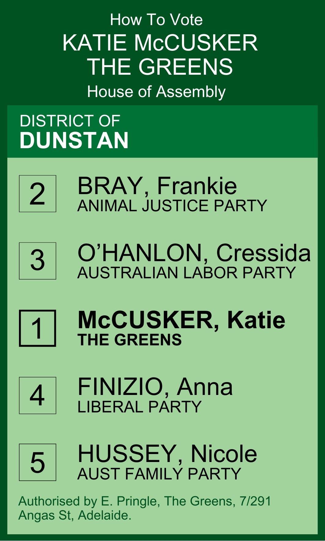 Image of HTV flyer for Dunstan by-election