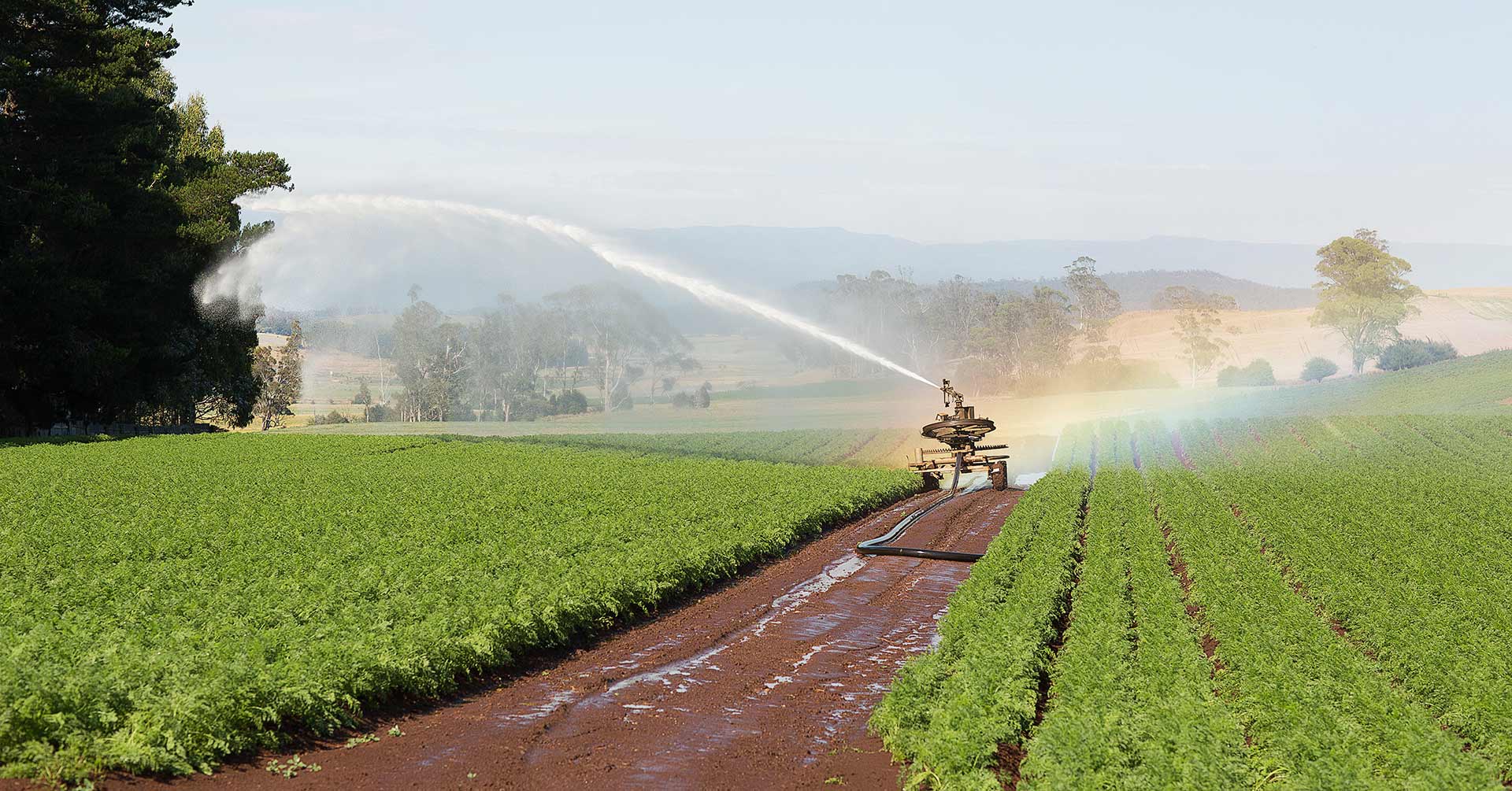 sustainable-agriculture-and-rural-land-use-greens-nsw