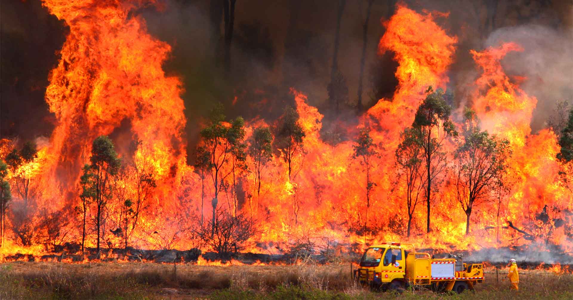 Living with global warming | Australian Greens