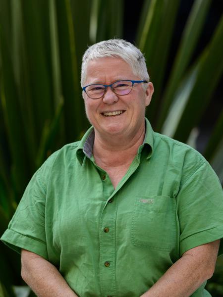 Giz Watson, Australian Greens co-convenor